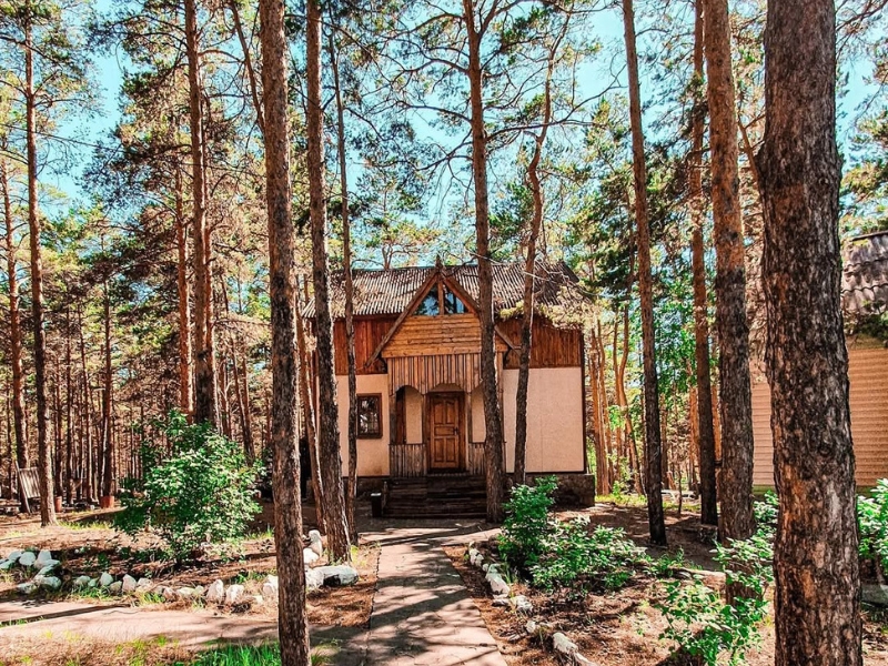 Уютные домики в окружении леса