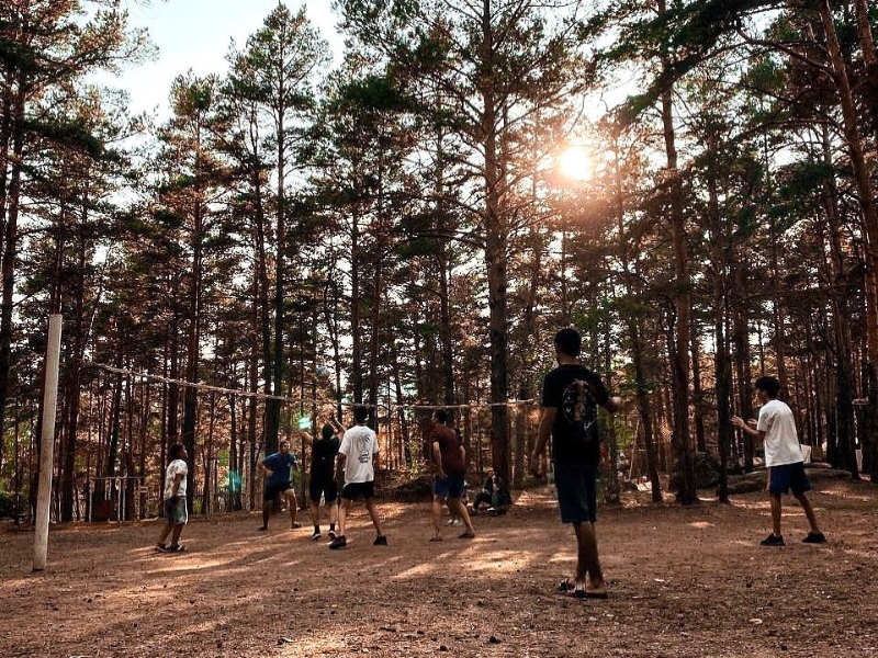 Прогулки по лесным тропам
